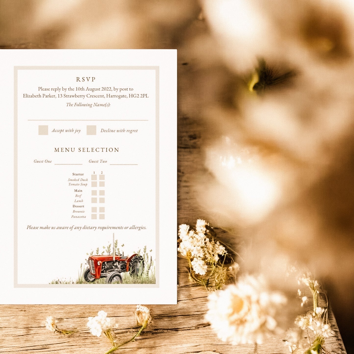 Massey Ferguson 35X Tractor