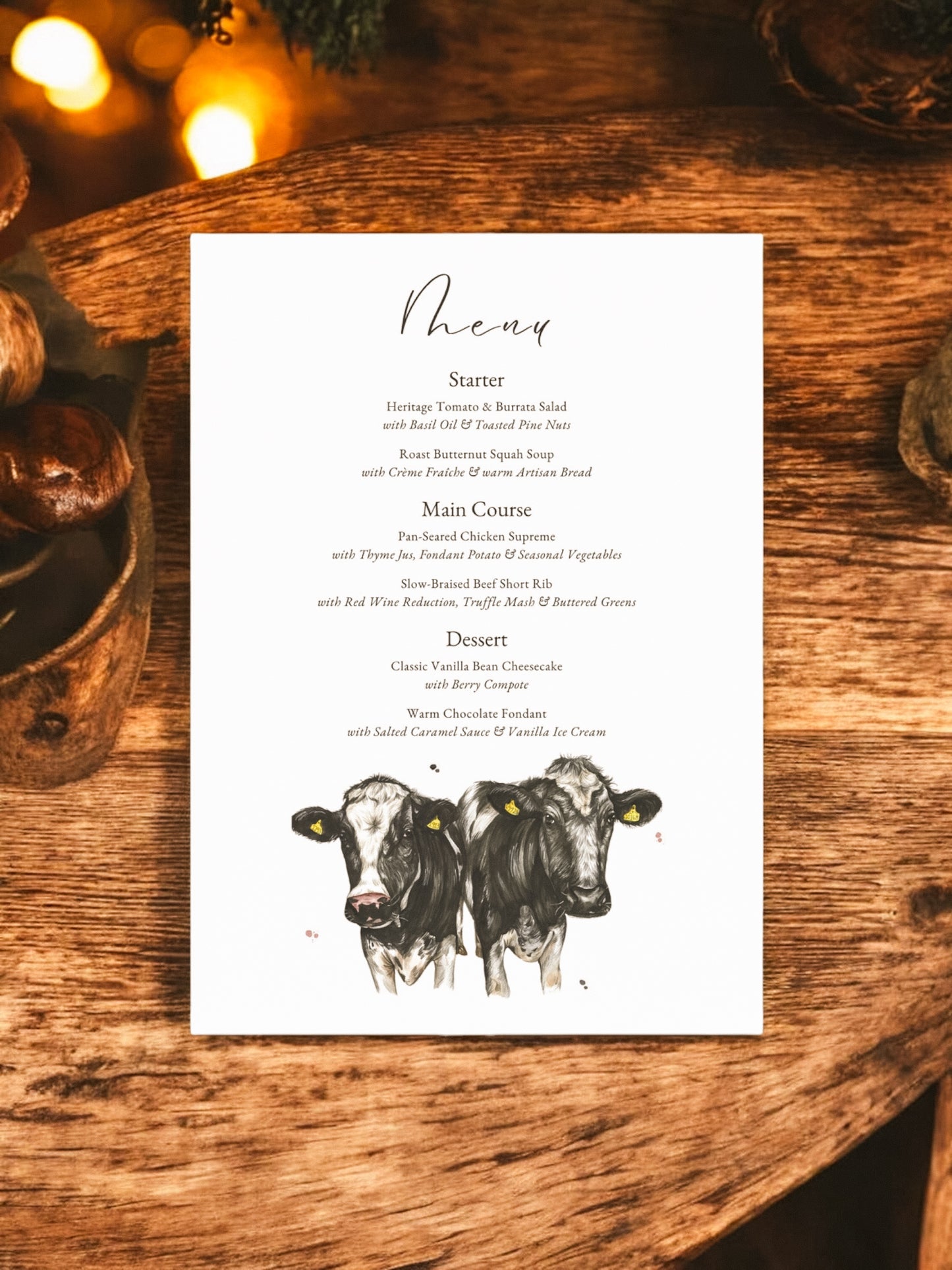Dairy Cow (Holstein Friesian) V1