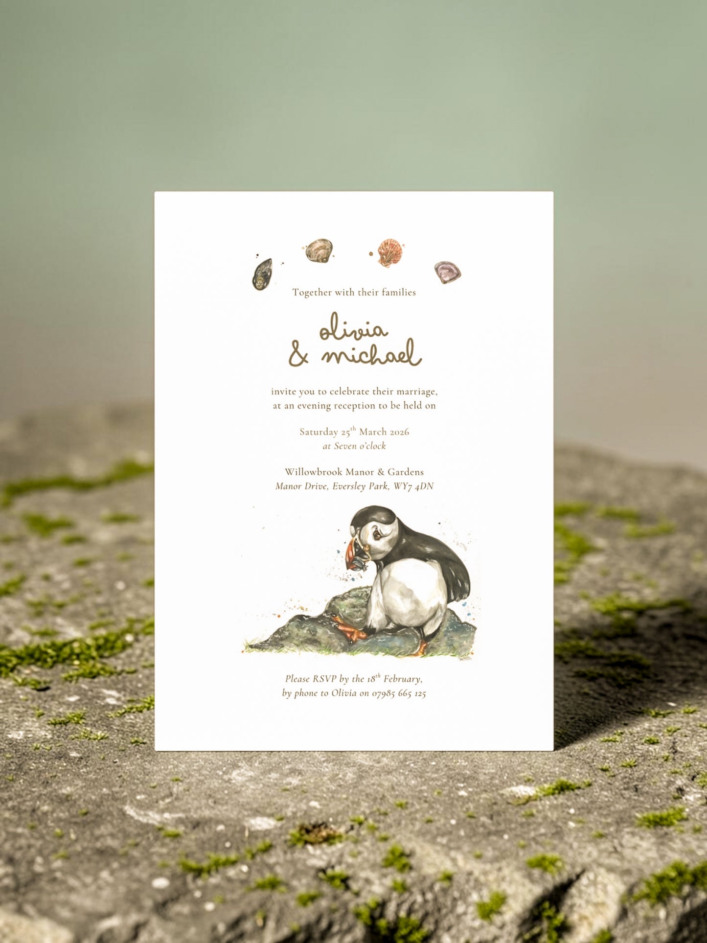 Puffin & Seashells