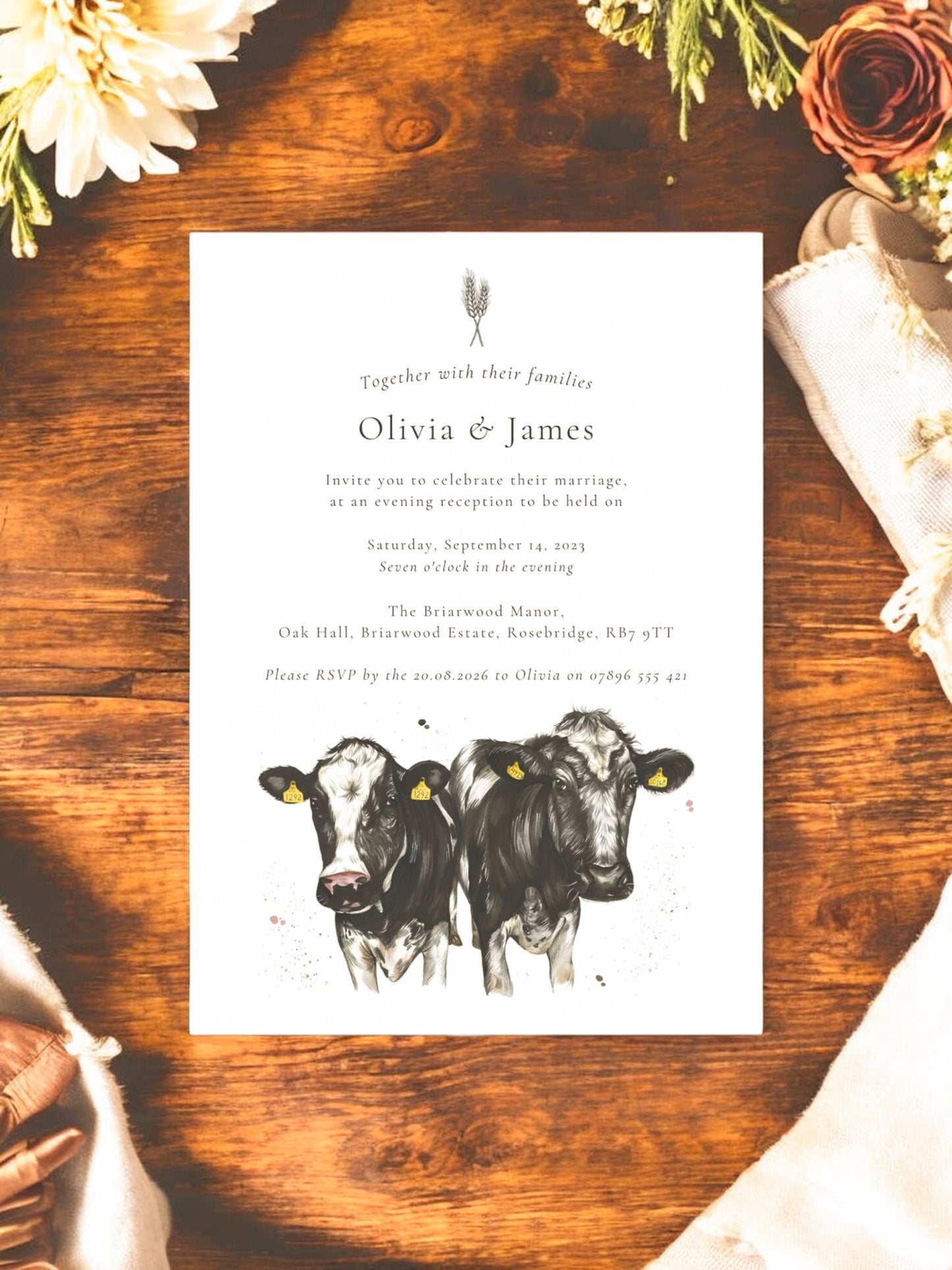Dairy Cow V2 (Holstein Friesian)