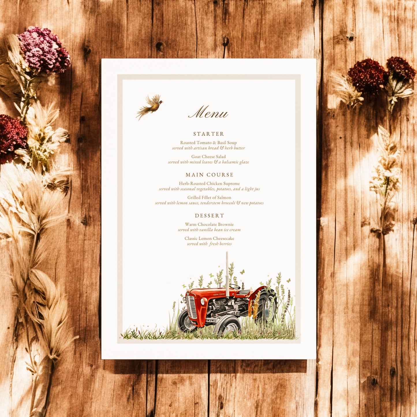 Massey Ferguson 35X Tractor