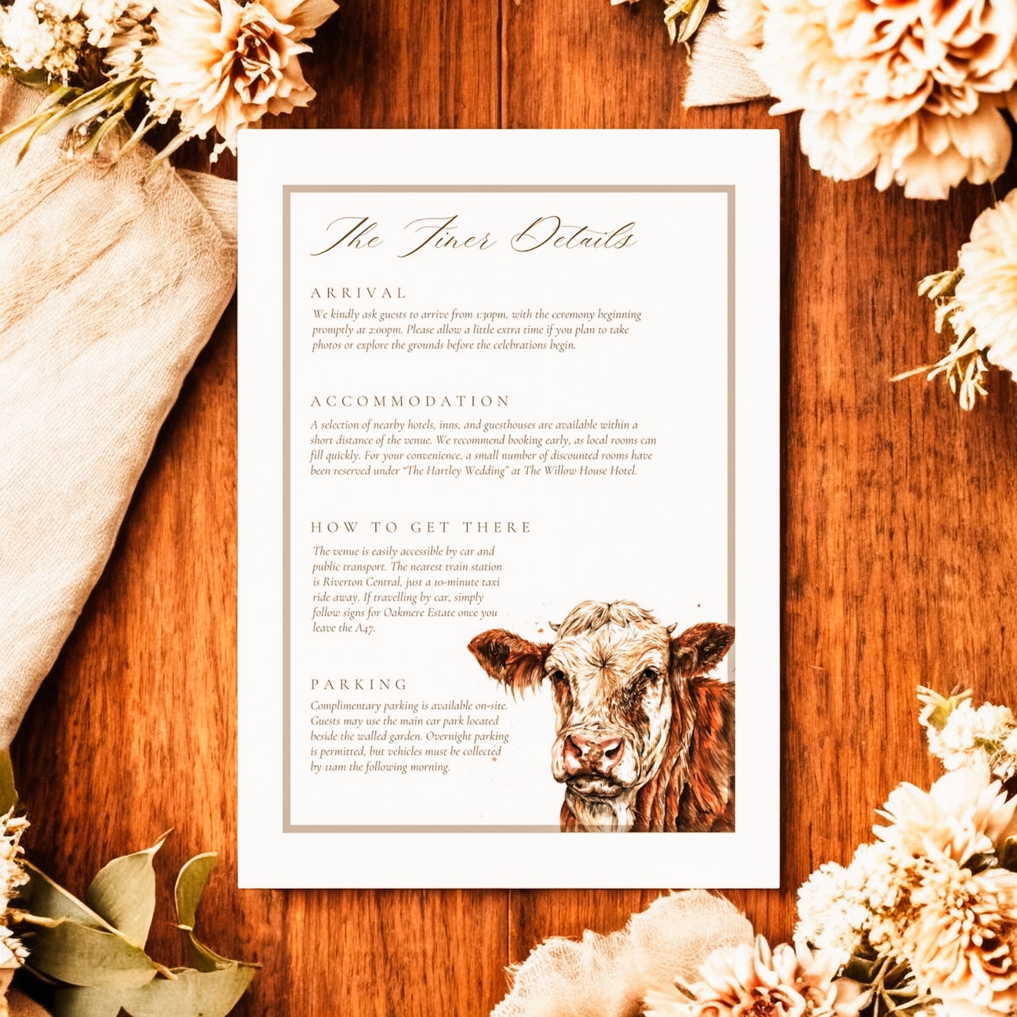 Simmental Cattle/Cow- Full Range