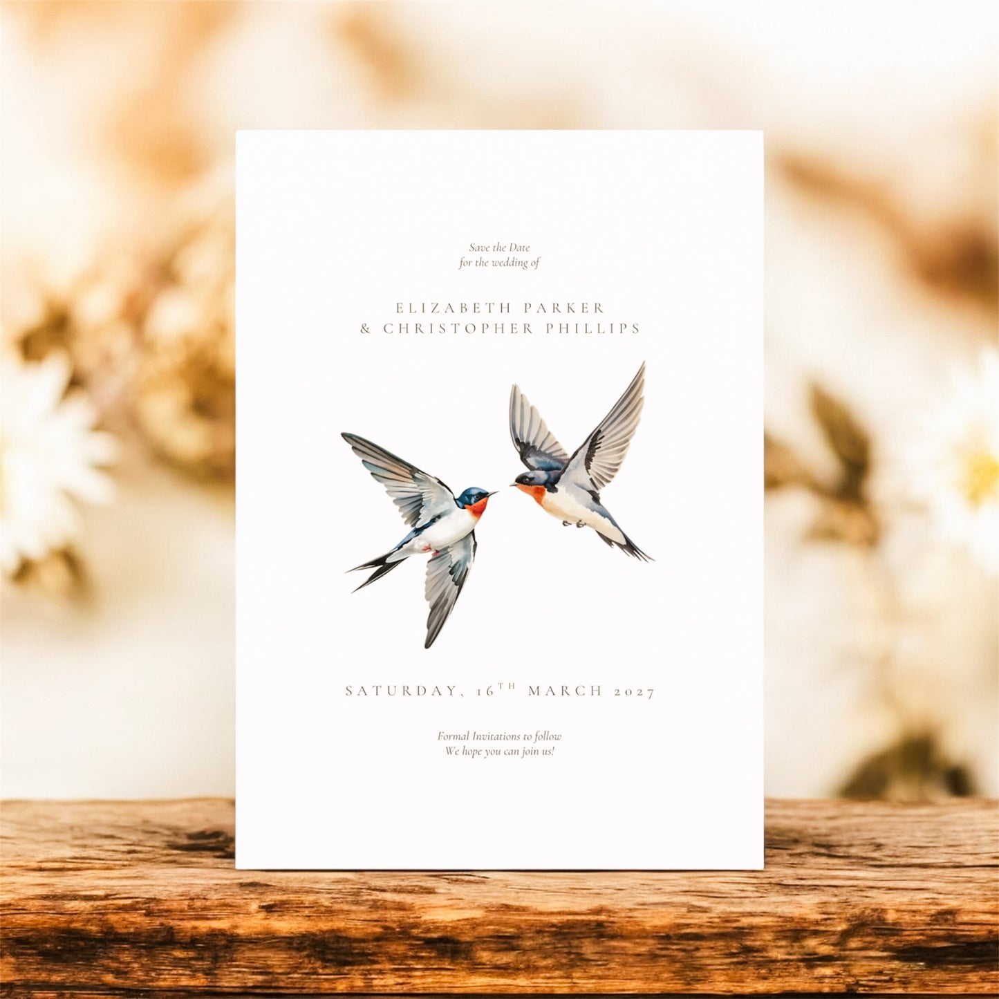 Swallows
