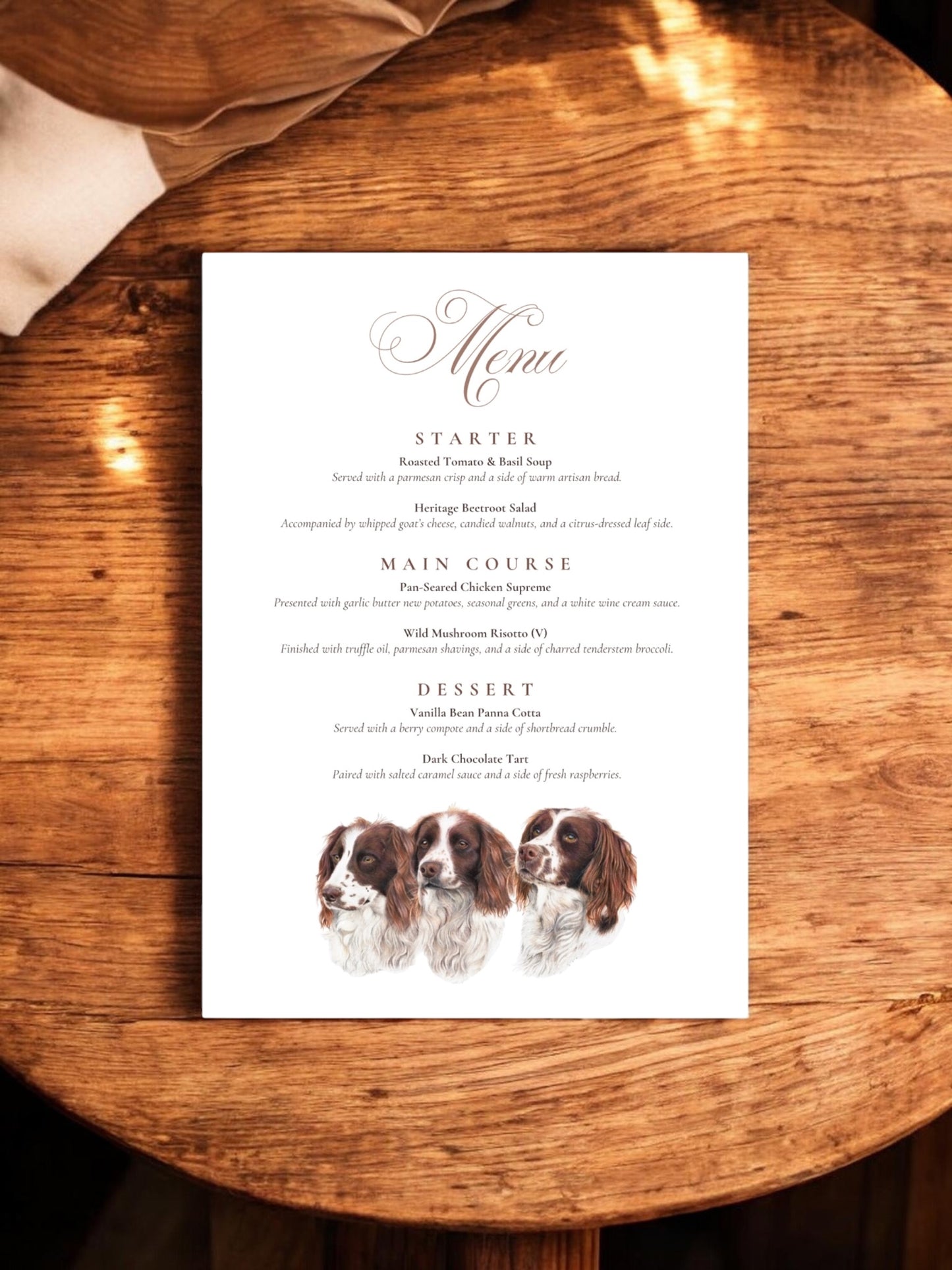 Trio of Spaniels