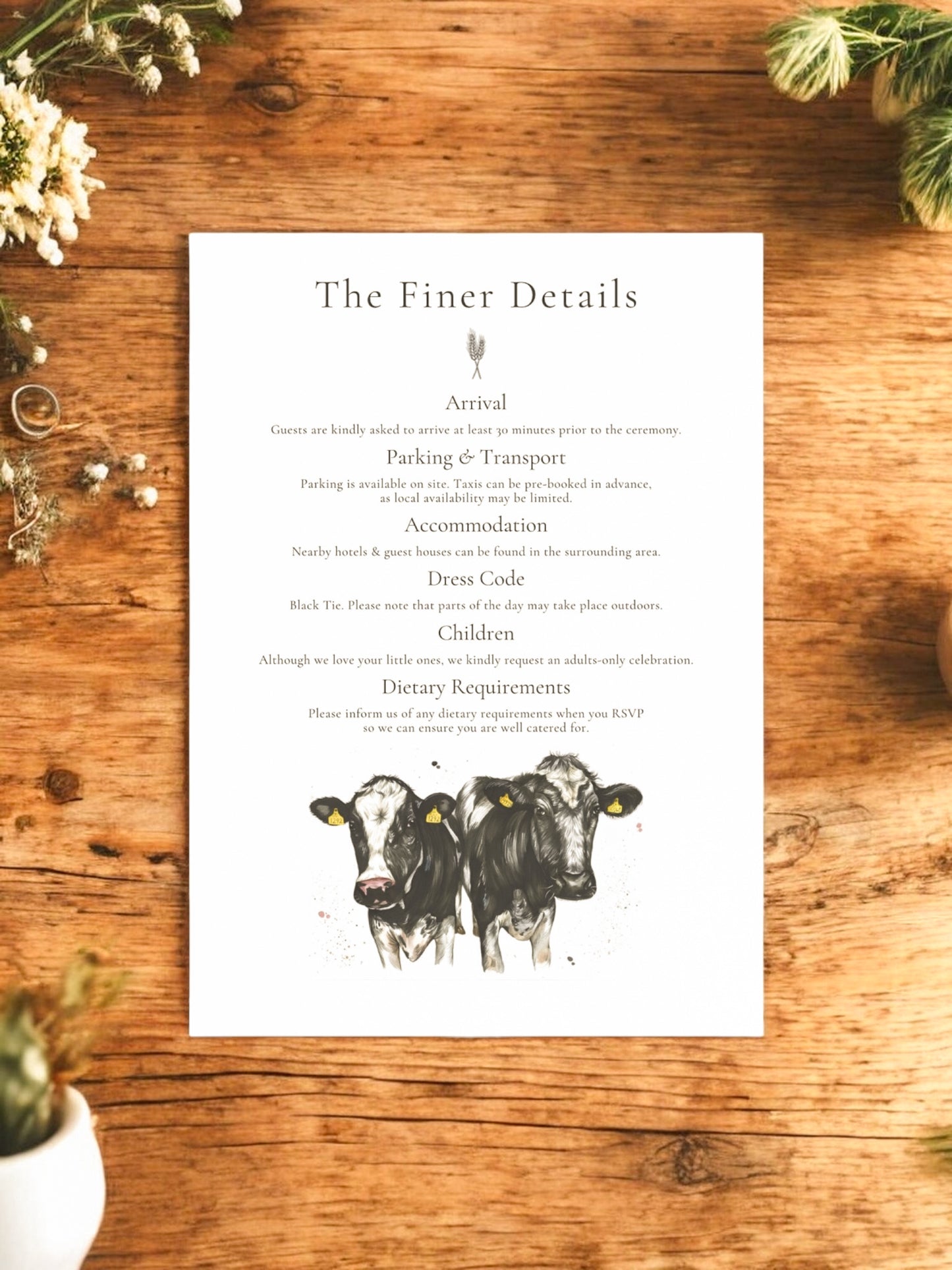 Dairy Cow V2 (Holstein Friesian)