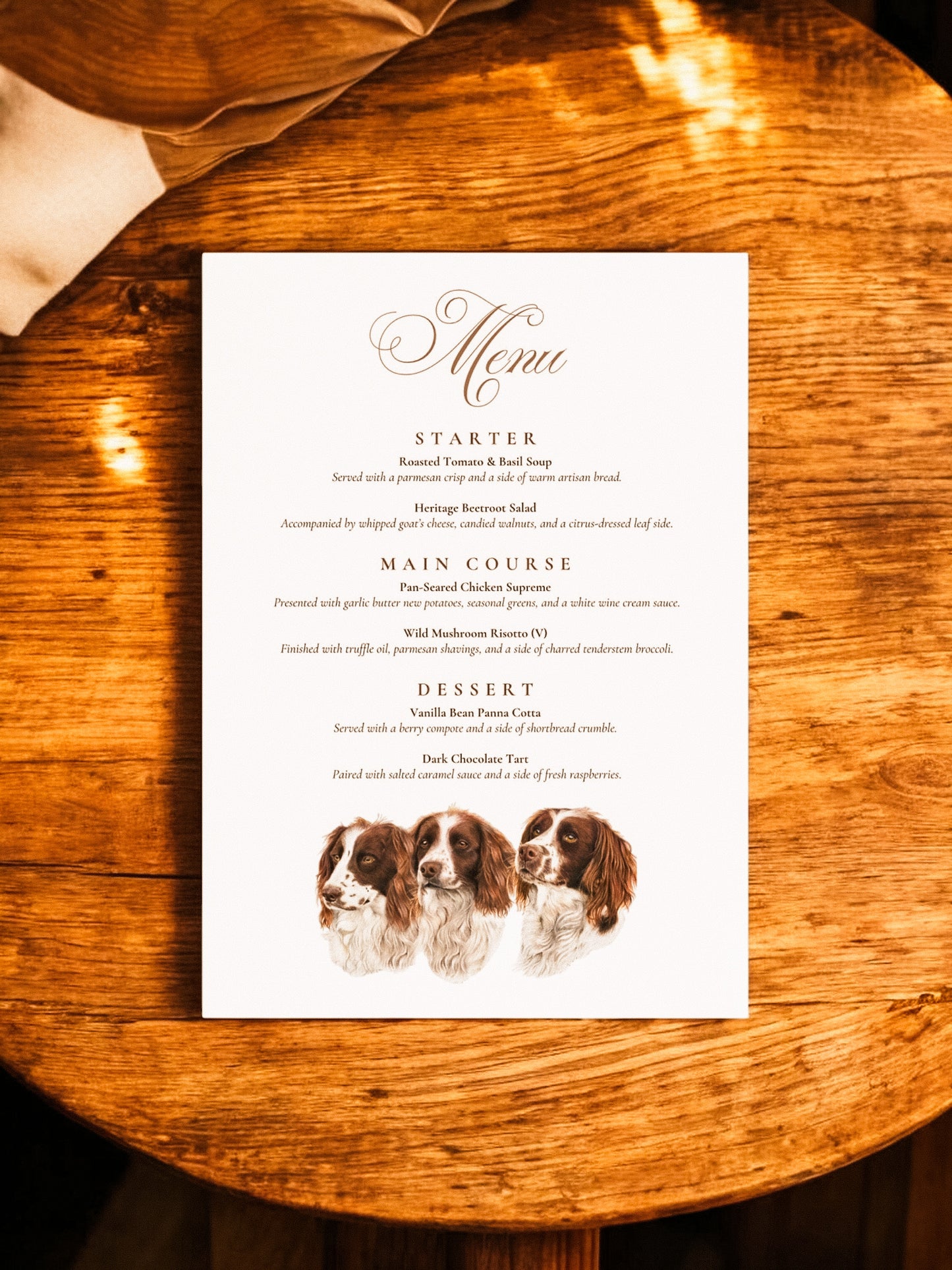 Trio of Spaniels