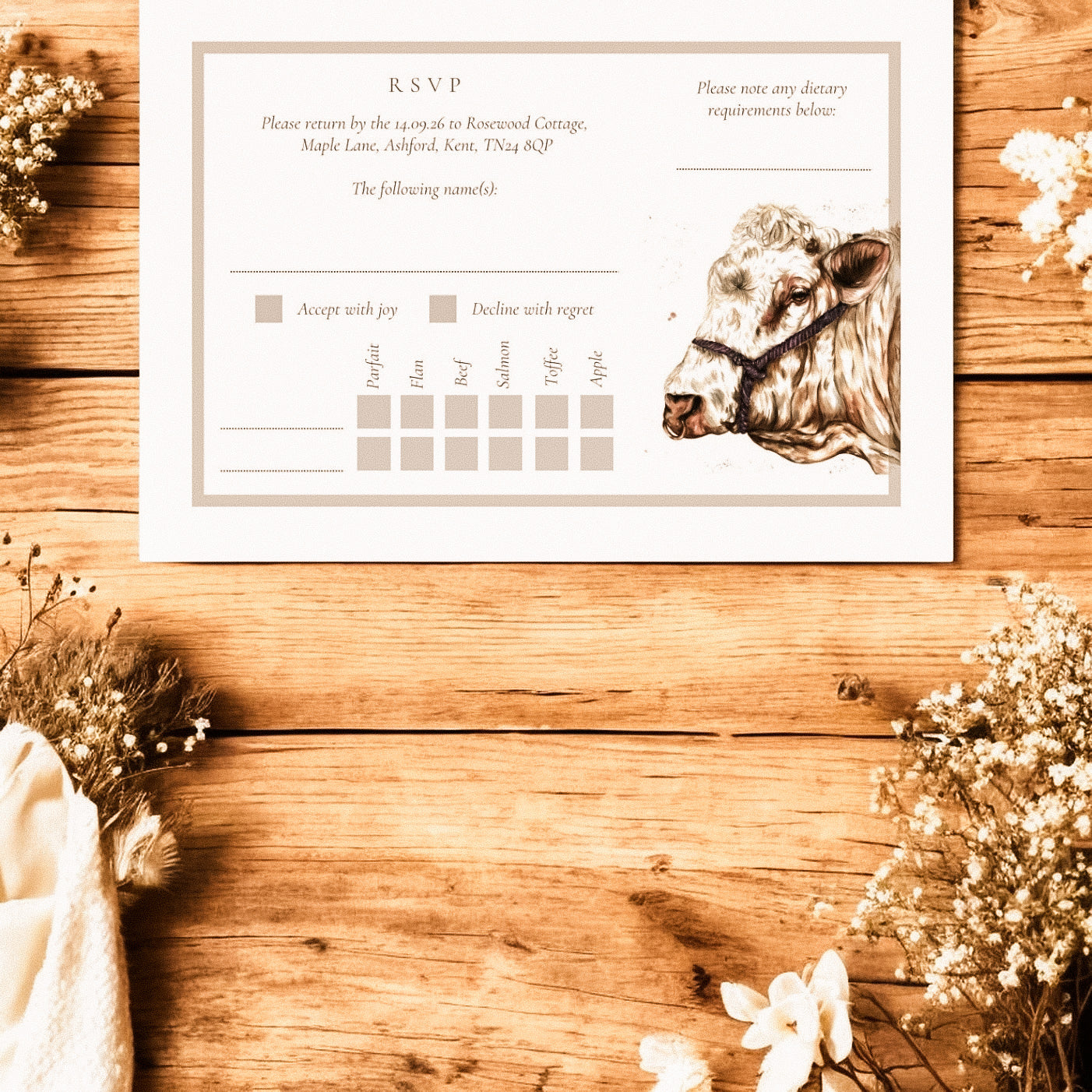 Charolais cow/cattle - Full Range