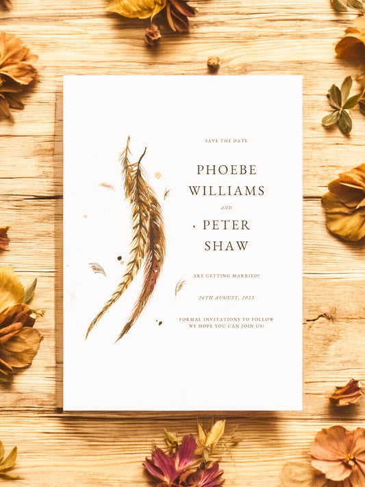 Pheasant Tail Feathers V2