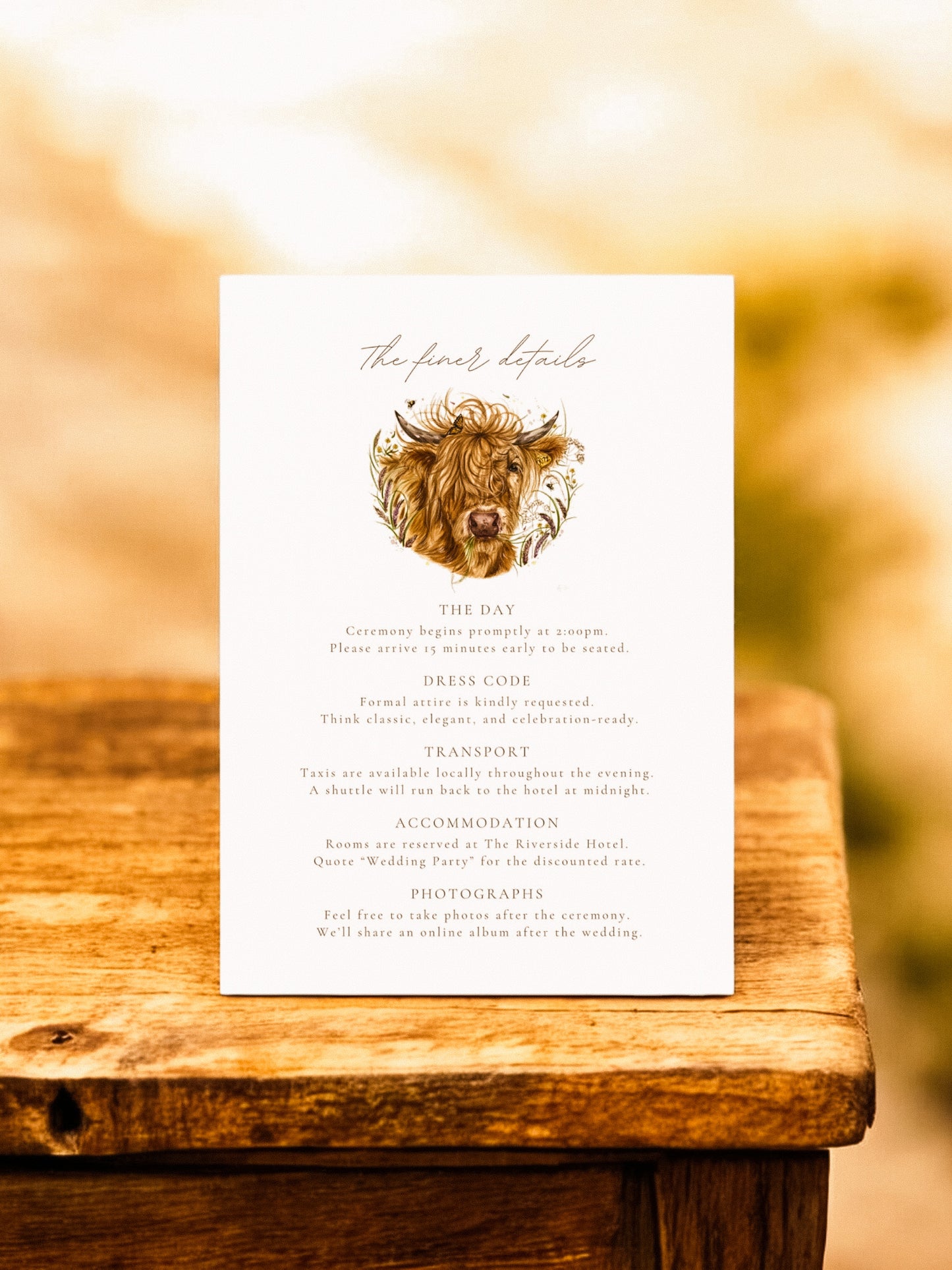 Hettie the Highland Cow
