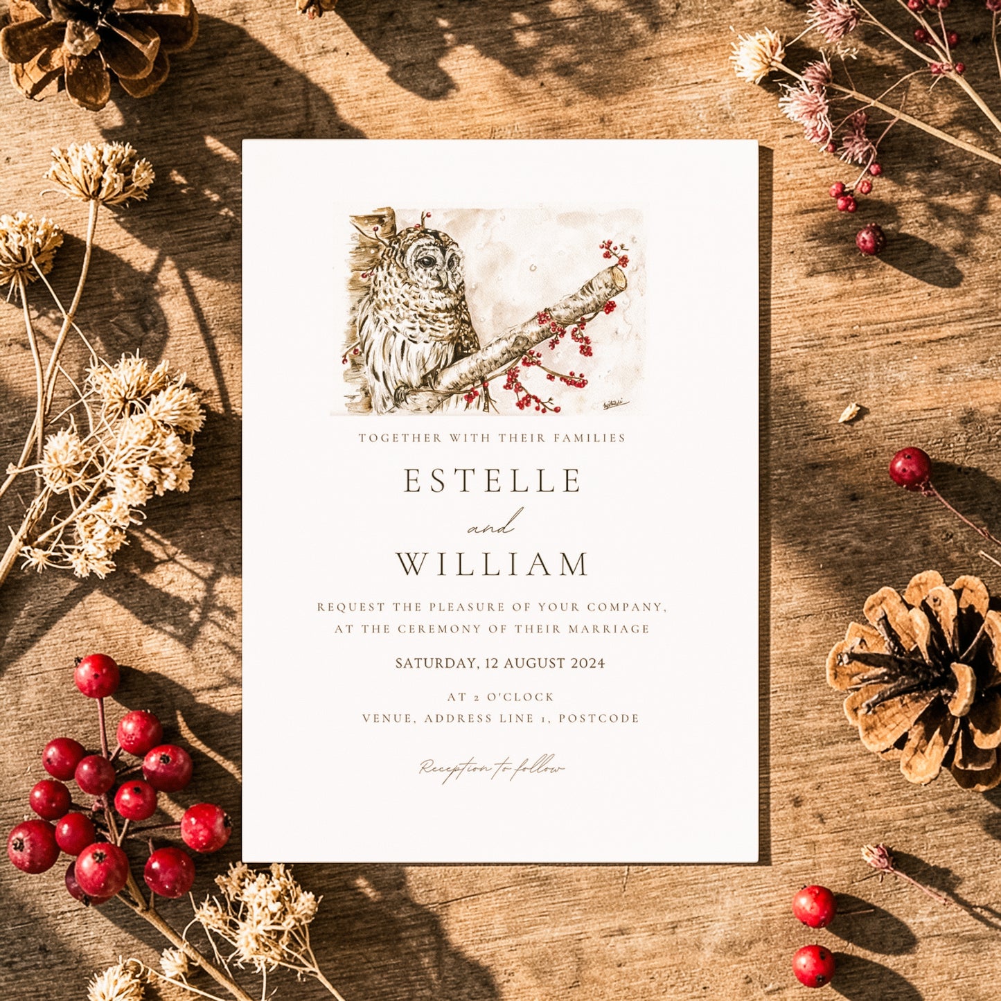 Winter Owl - Full Range