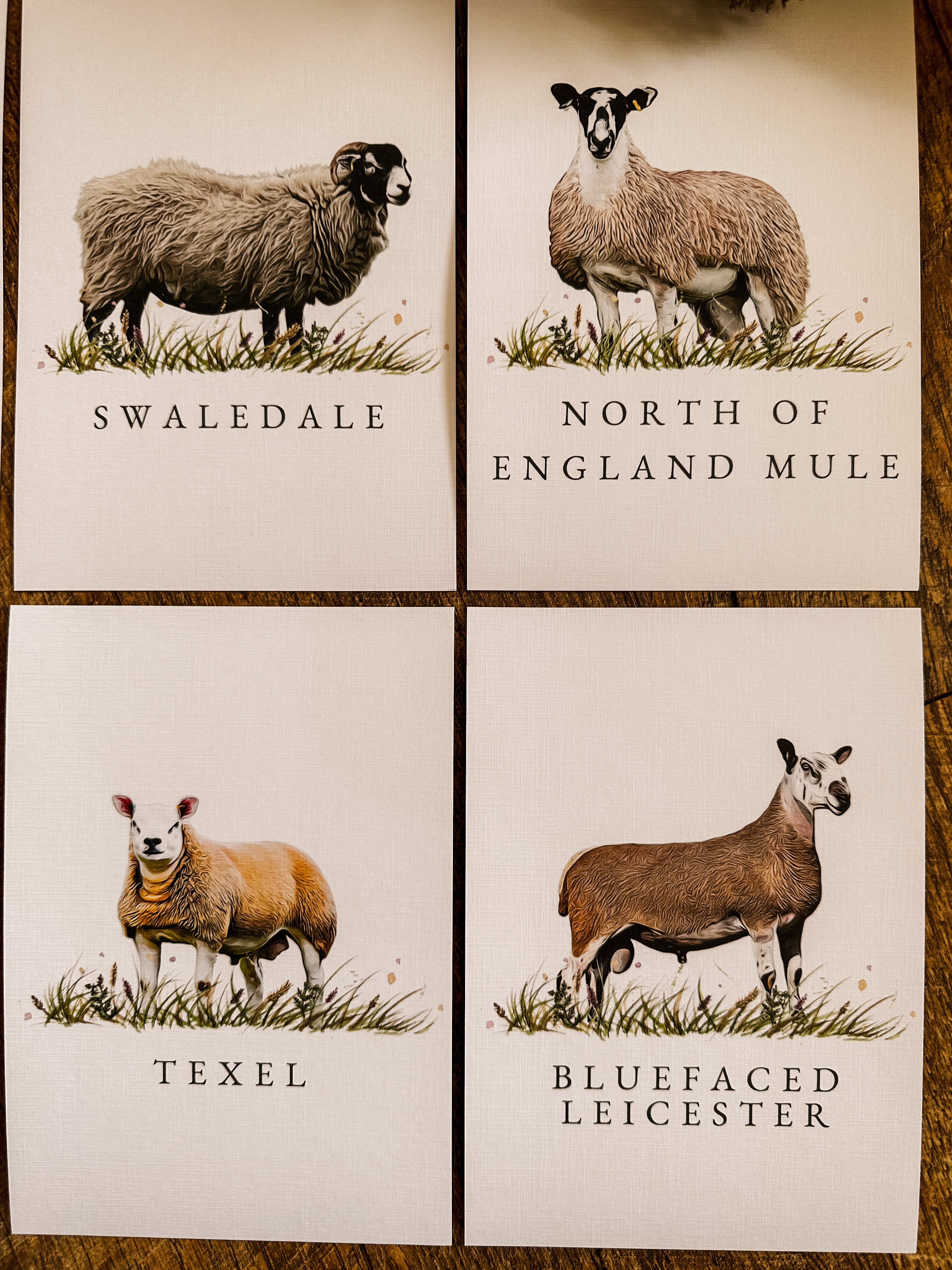Sheep Table Names