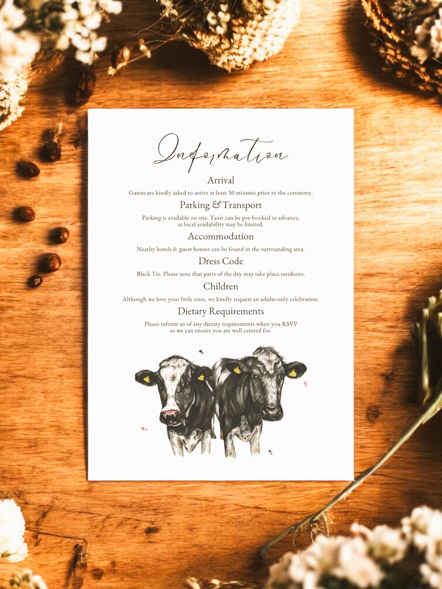 Dairy Cow (Holstein Friesian) V1