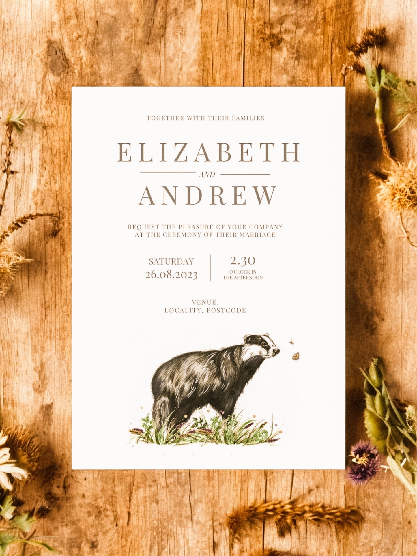 Basil the Badger - Full Range