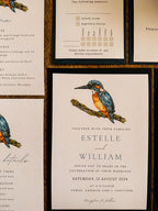 Kingfisher - Full Range