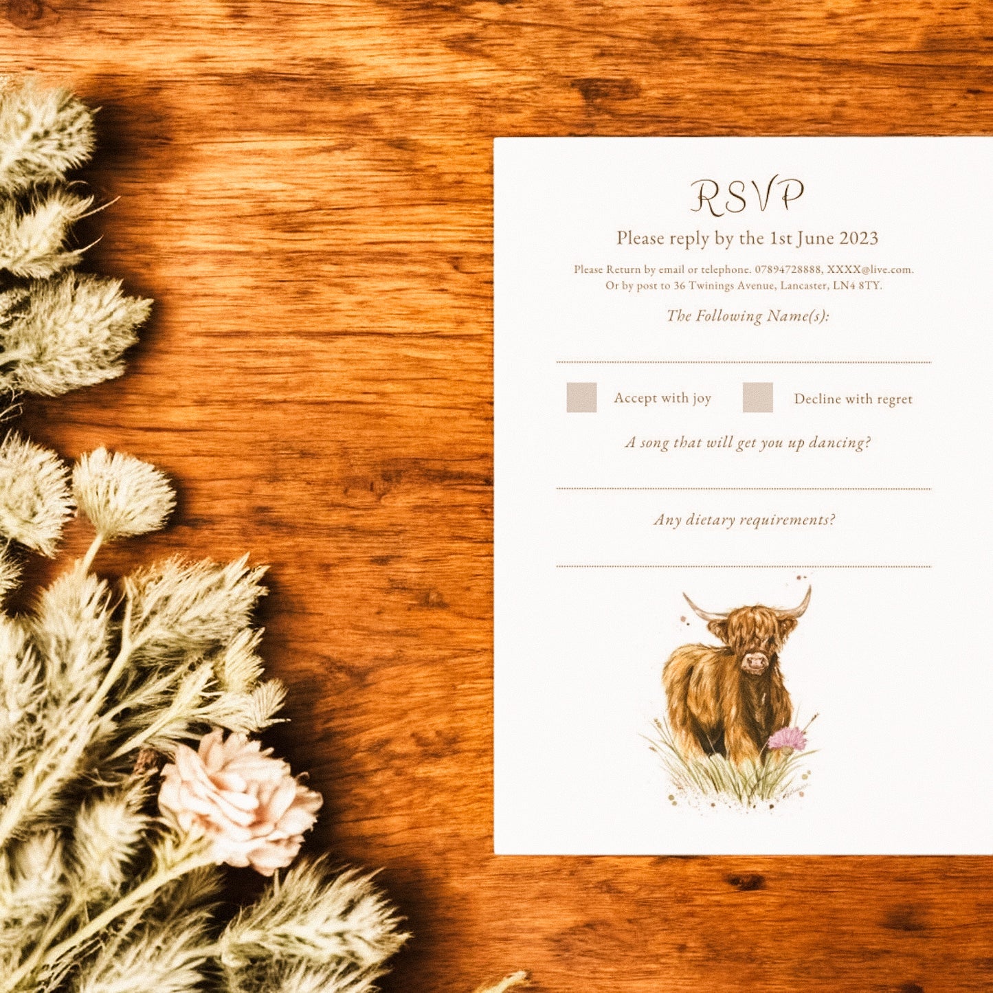 Highland Cow V1 - Full Range
