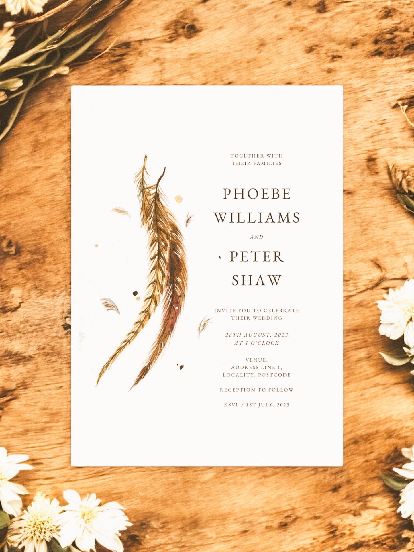 Pheasant Tail Feathers V2