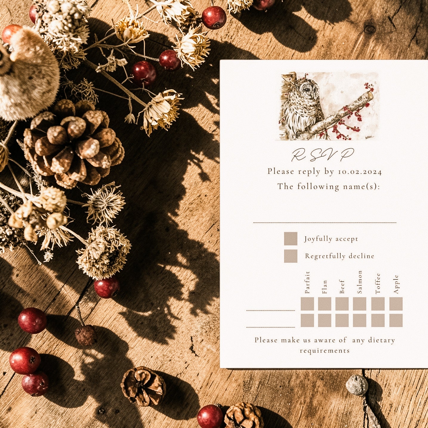 Winter Owl - Full Range