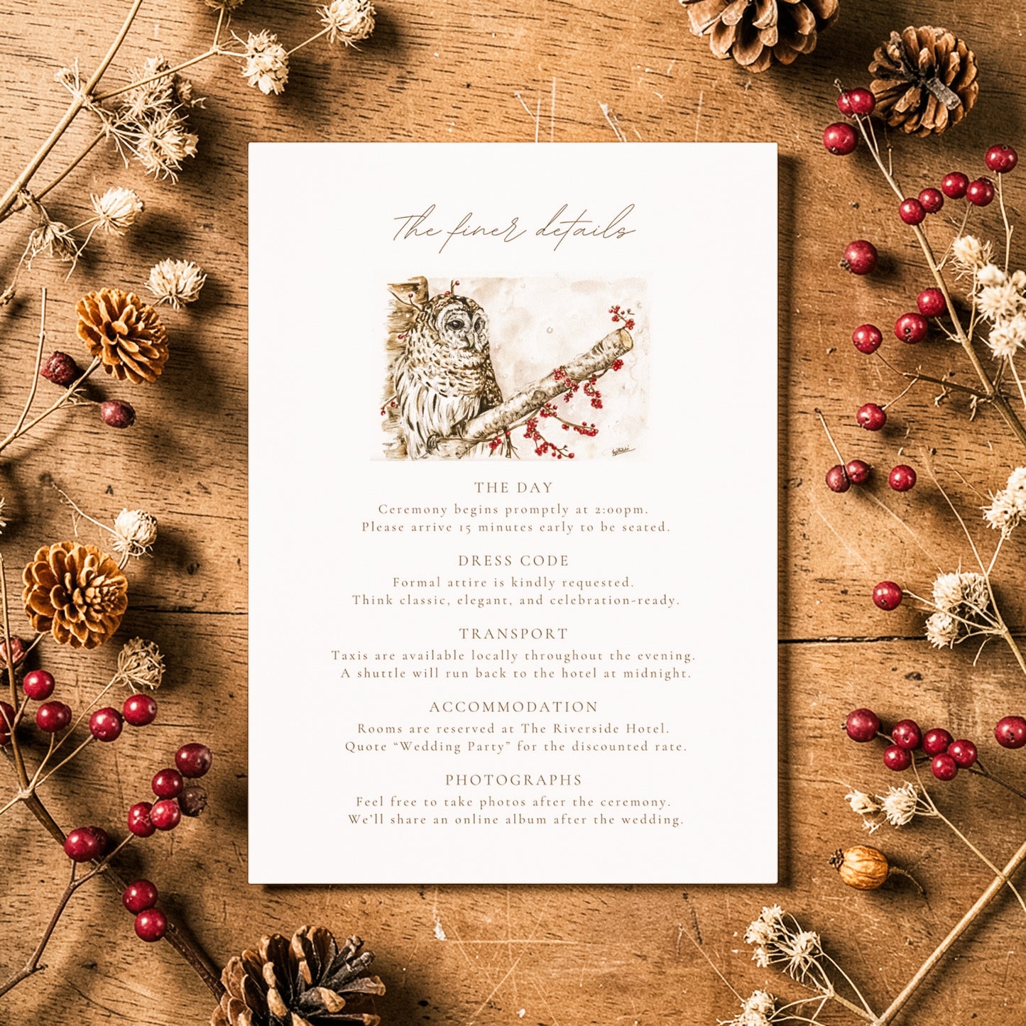 Winter Owl - Full Range