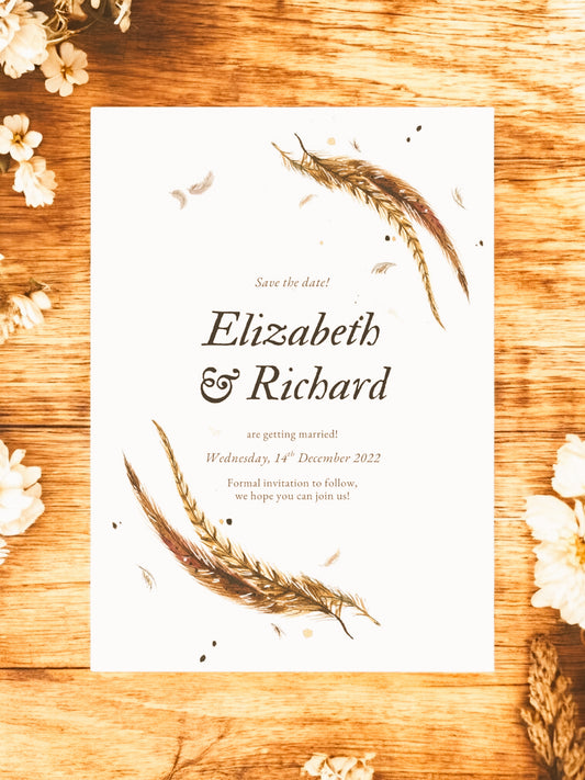 Pheasant Tail Feathers