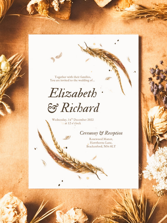 Pheasant Tail Feathers