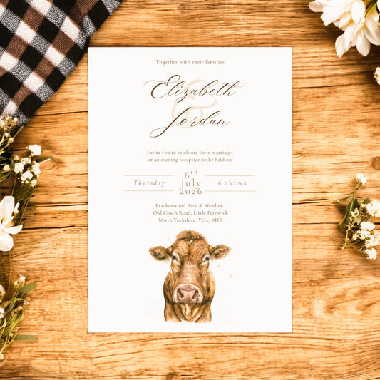 Limousin Cattle/Cow- Full Range