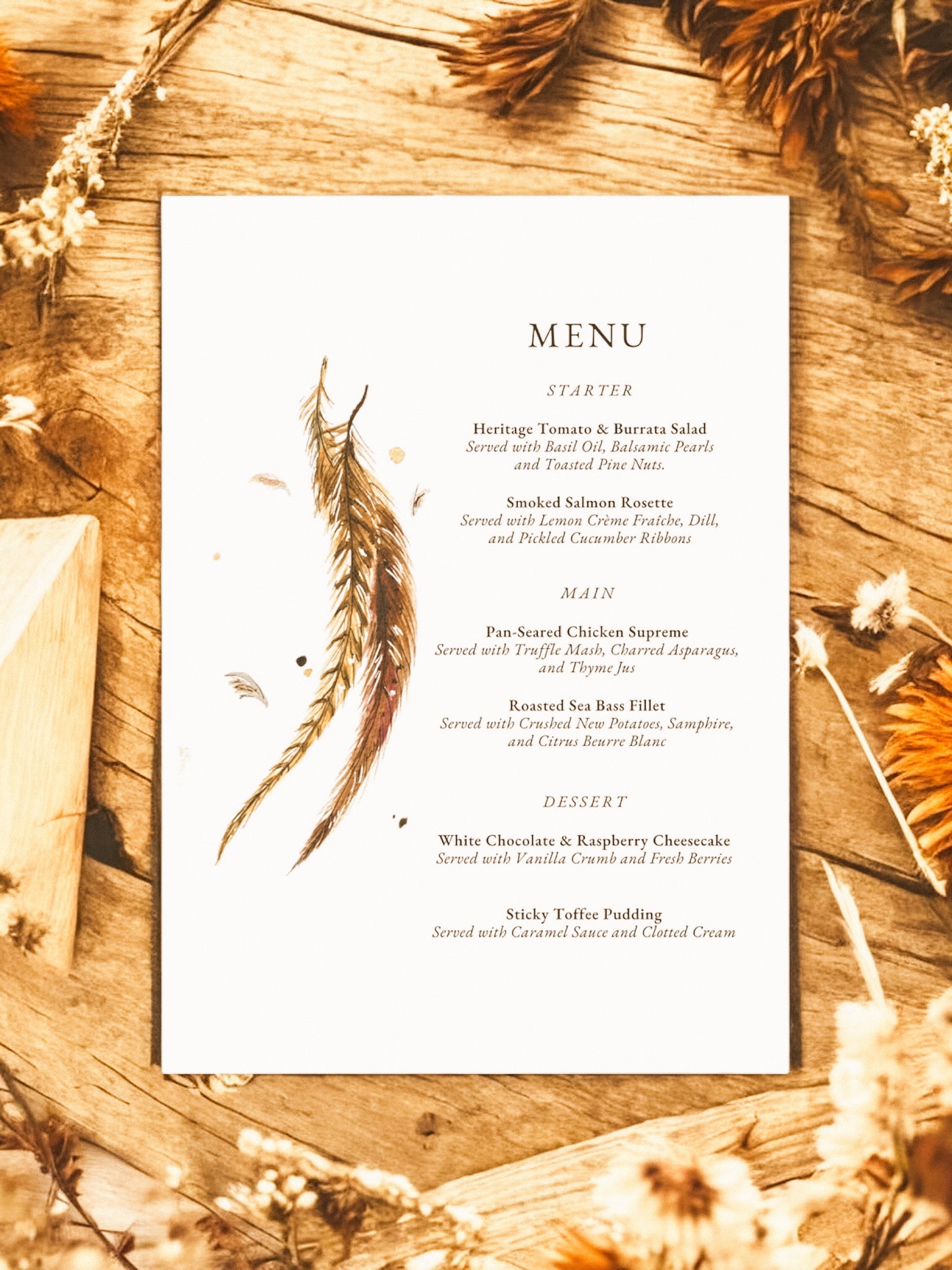Pheasant Tail Feathers V2