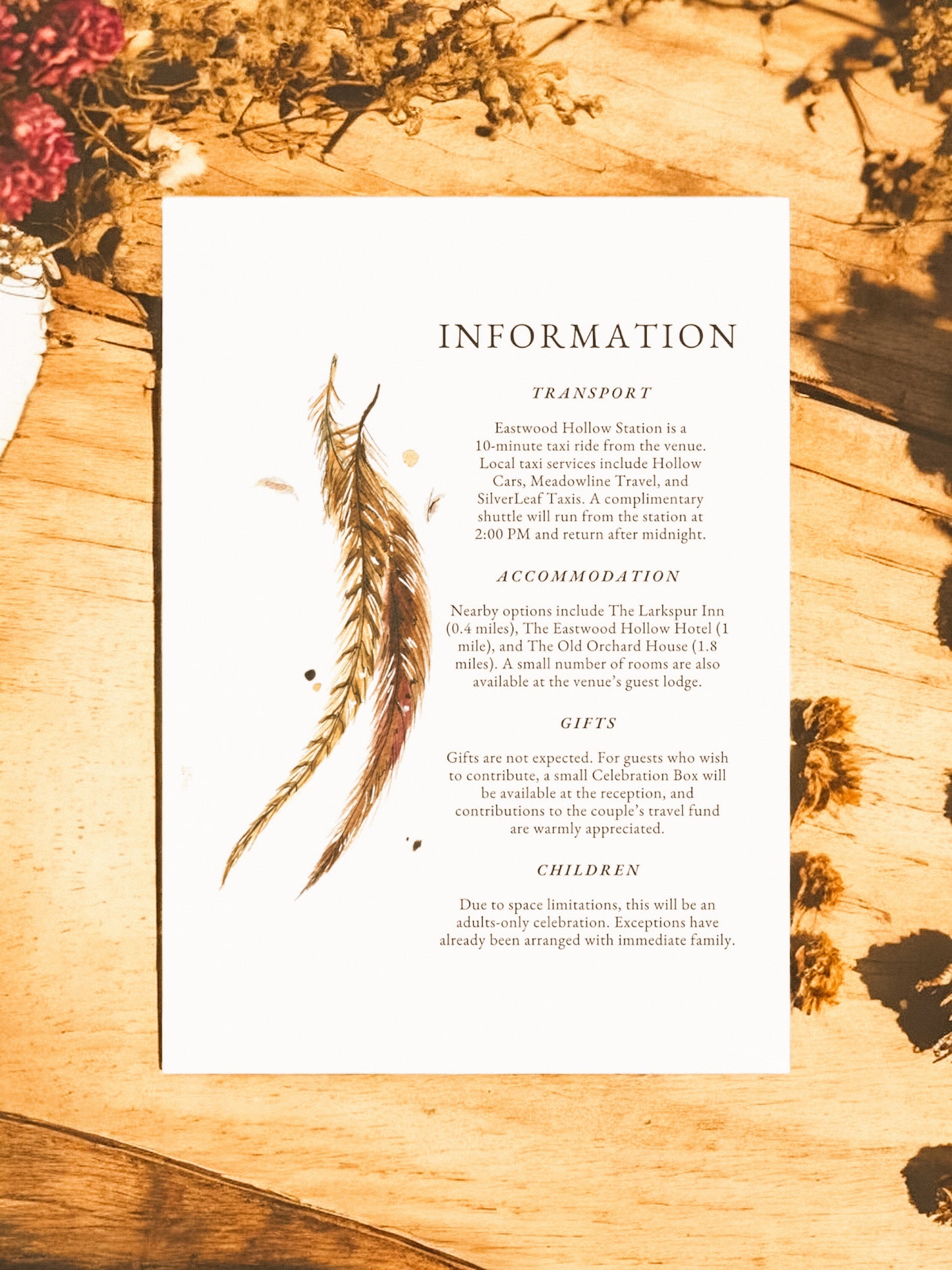 Pheasant Tail Feathers V2