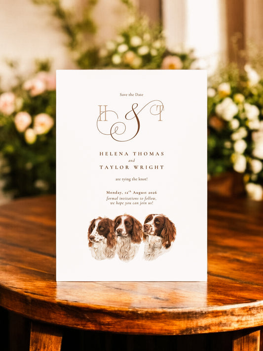Trio of Spaniels
