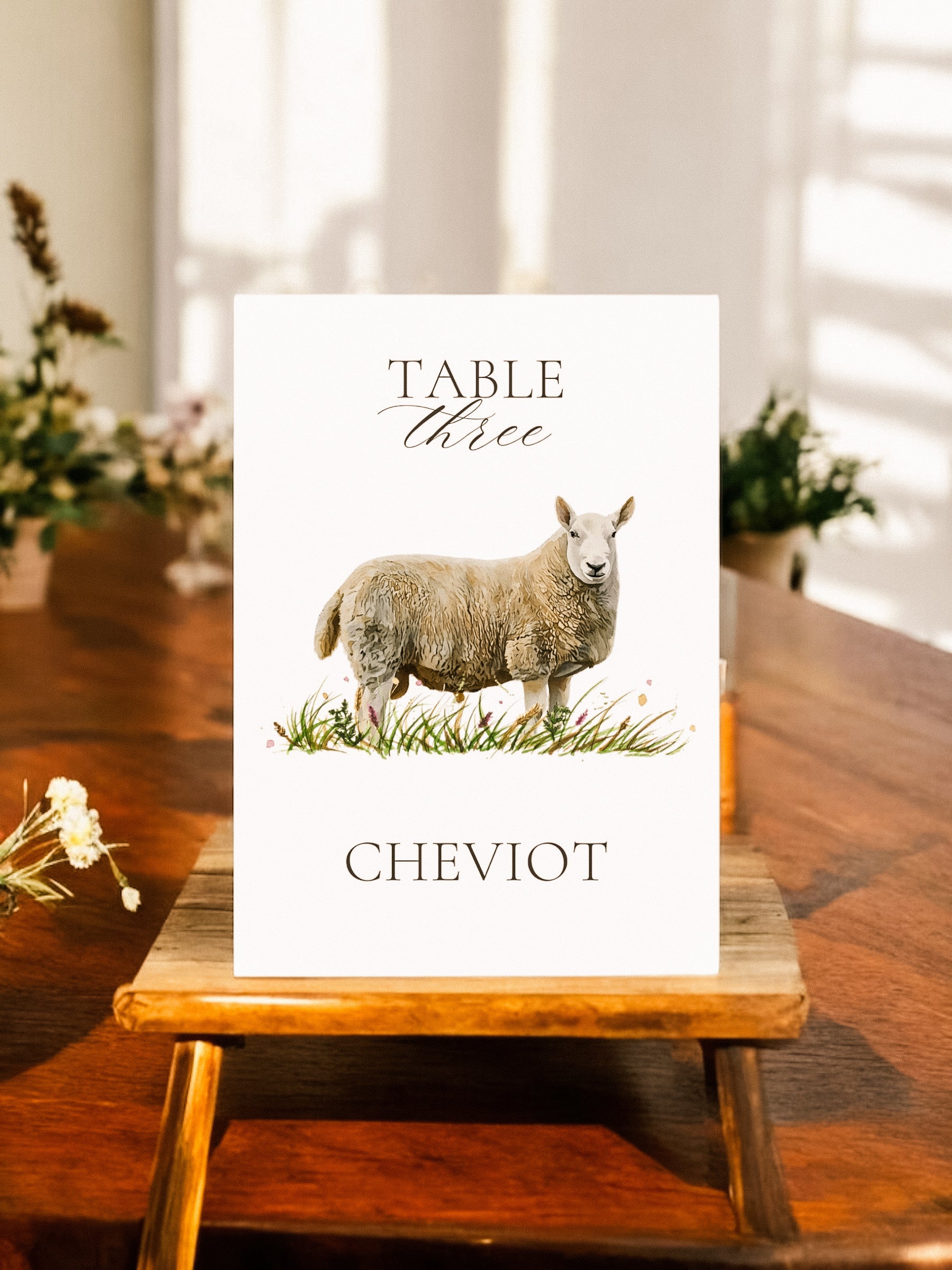 Sheep Table Names V2