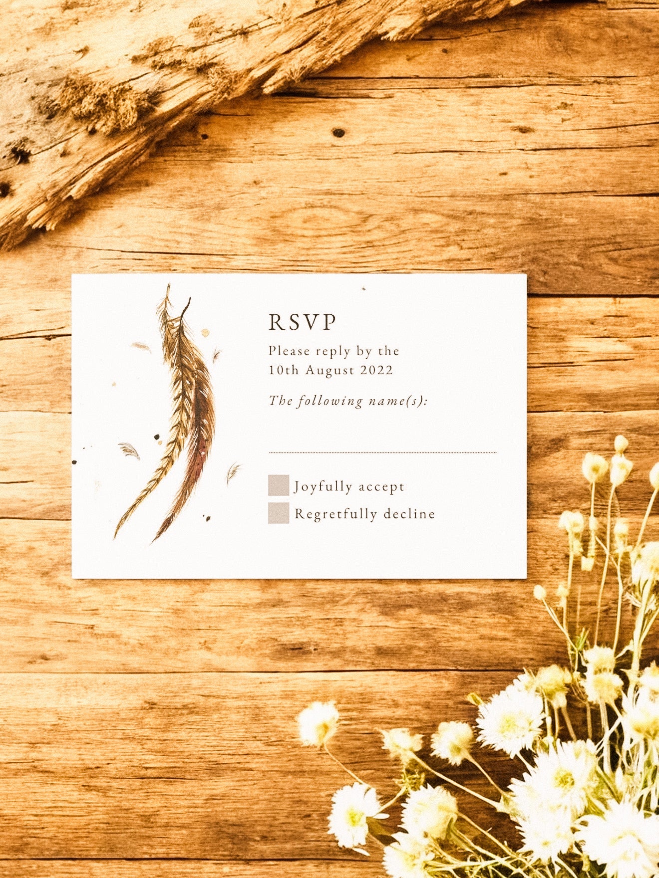 Pheasant Tail Feathers V2
