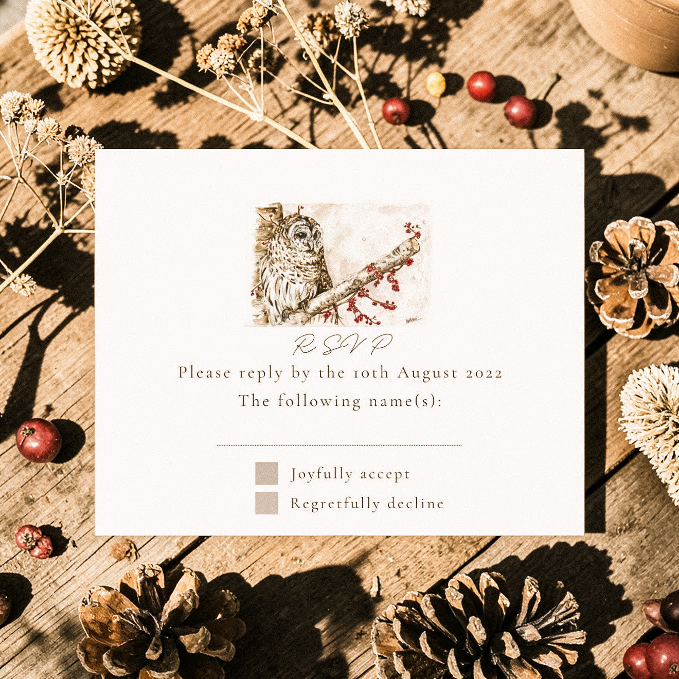 Winter Owl - Full Range
