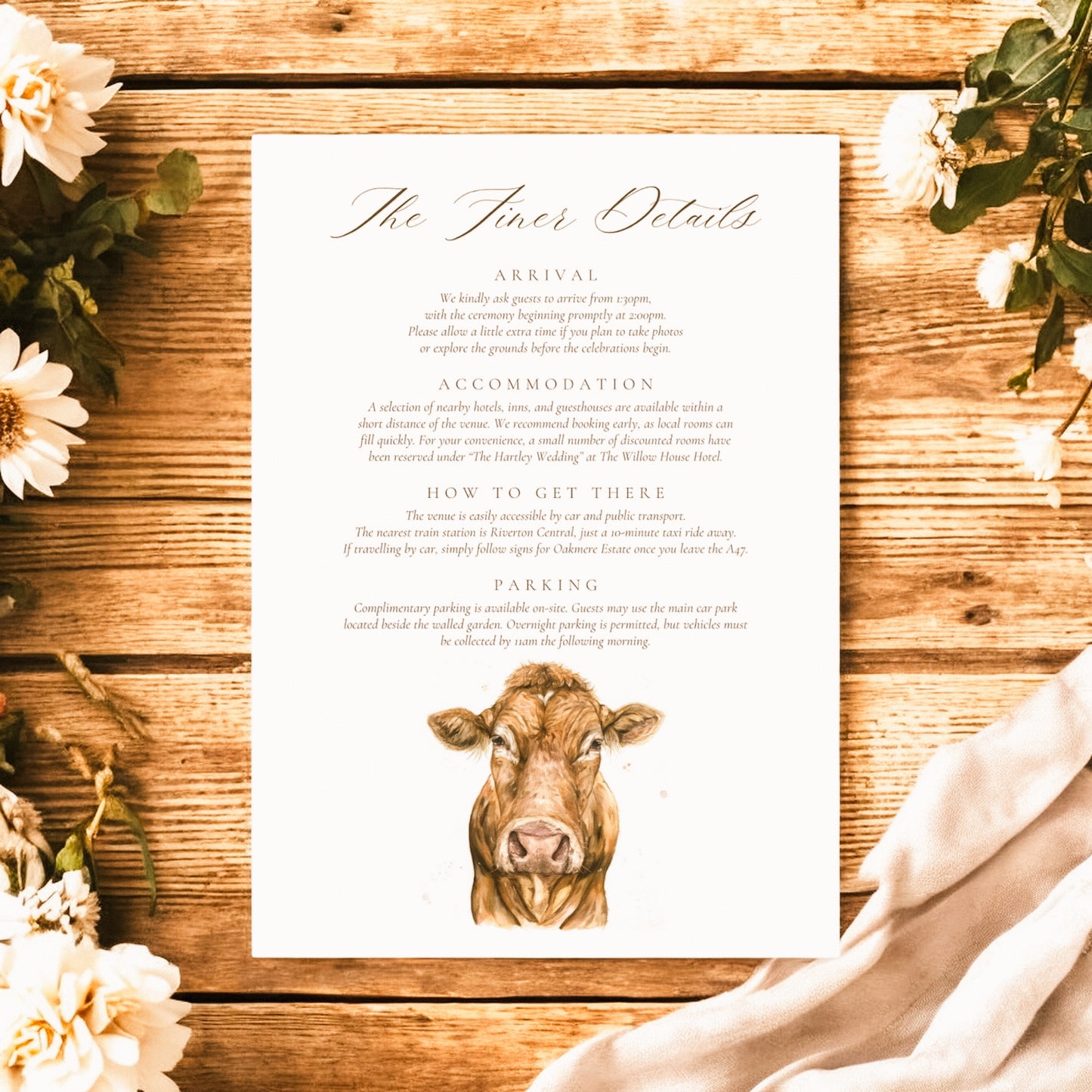 Limousin Cattle/Cow- Full Range