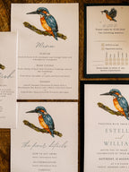 Kingfisher - Full Range