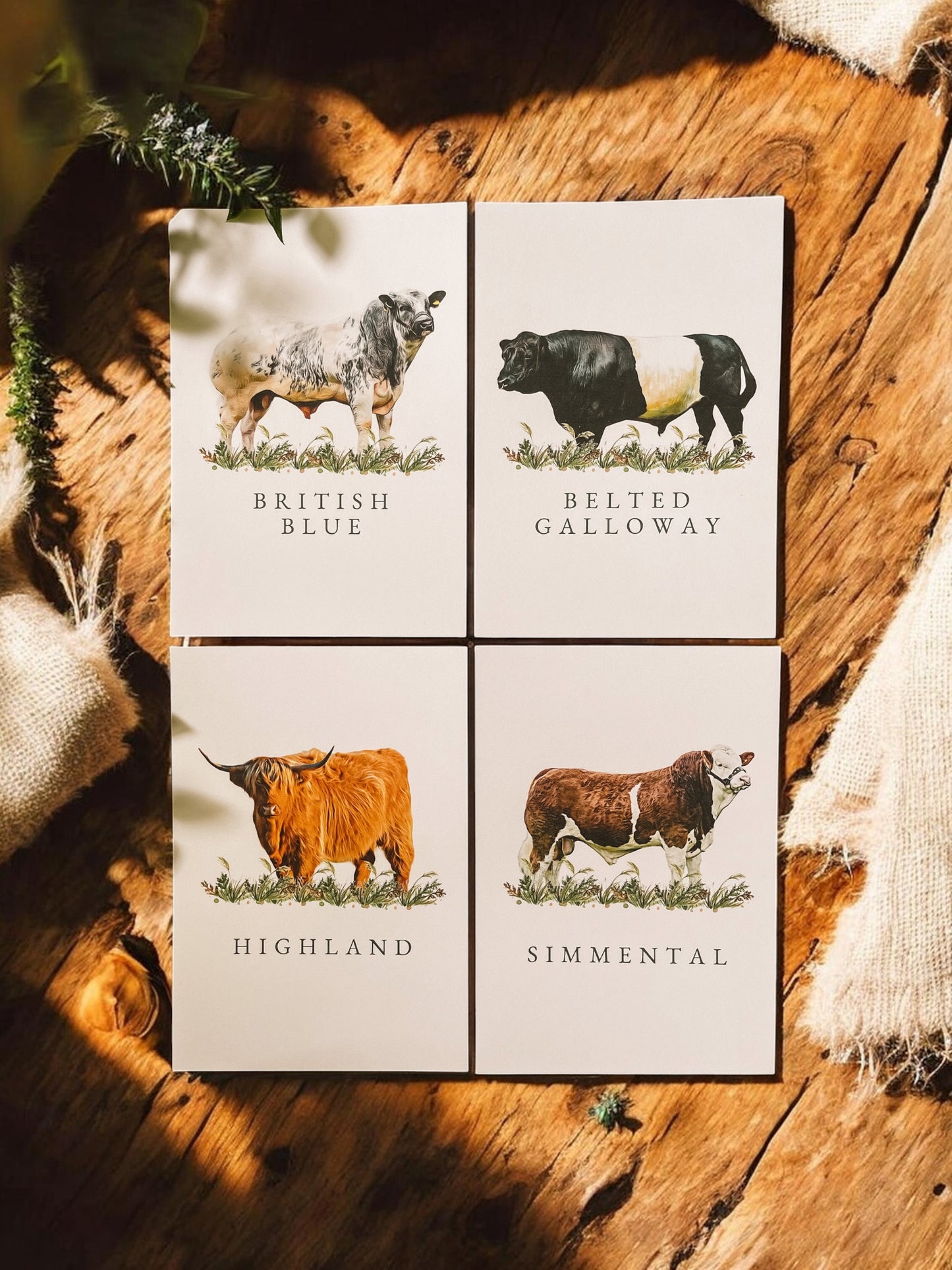 Cattle Table Names