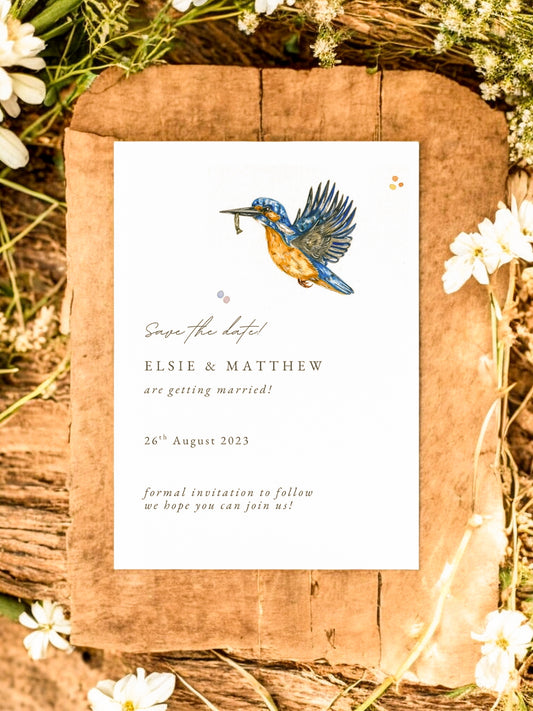 Simplistic Kingfisher