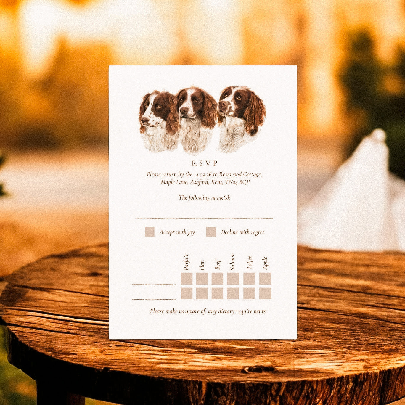 Trio of Spaniels