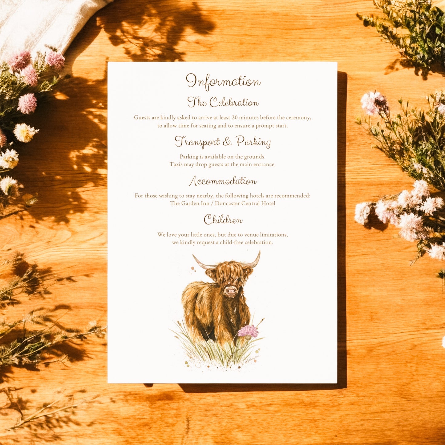 Highland Cow V1 - Full Range