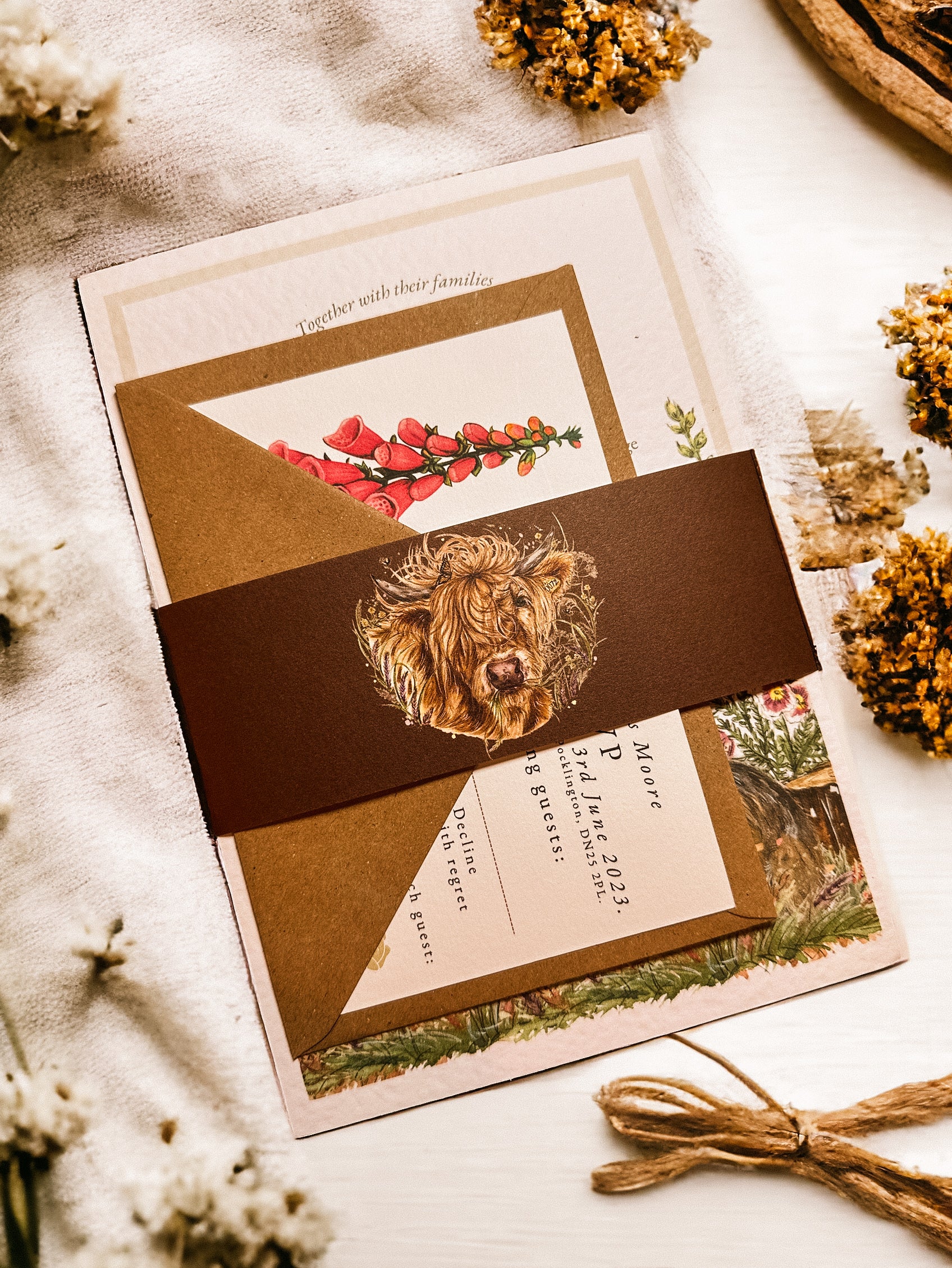 Belly Band - Highland Cow