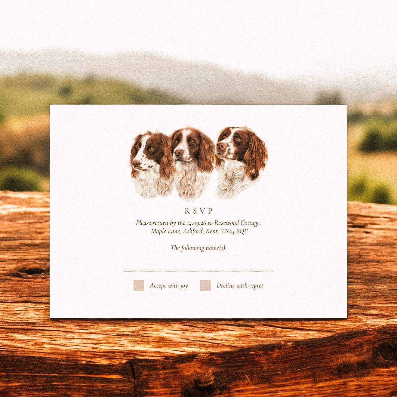 Trio of Spaniels