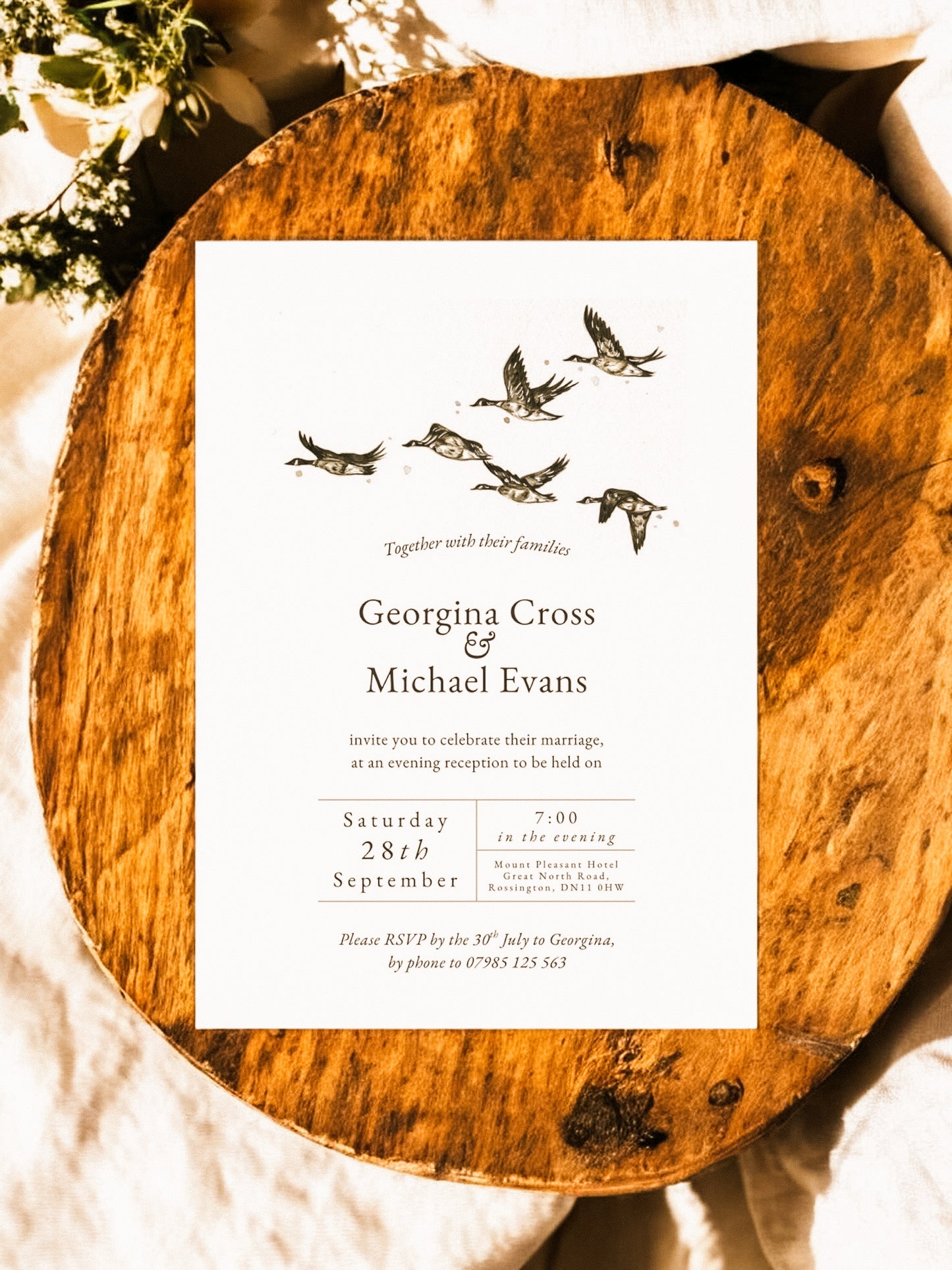 Geese in Formation