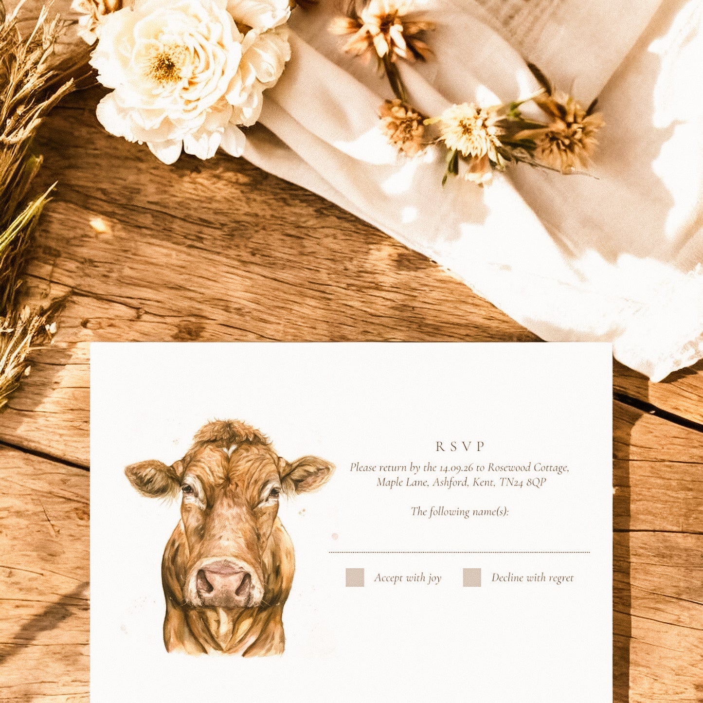 Limousin Cattle/Cow- Full Range