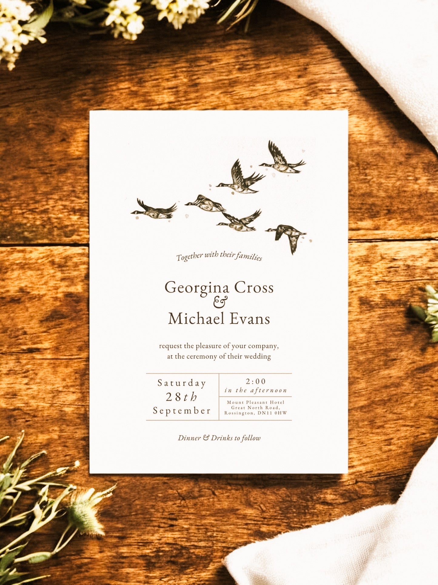 Geese in Formation