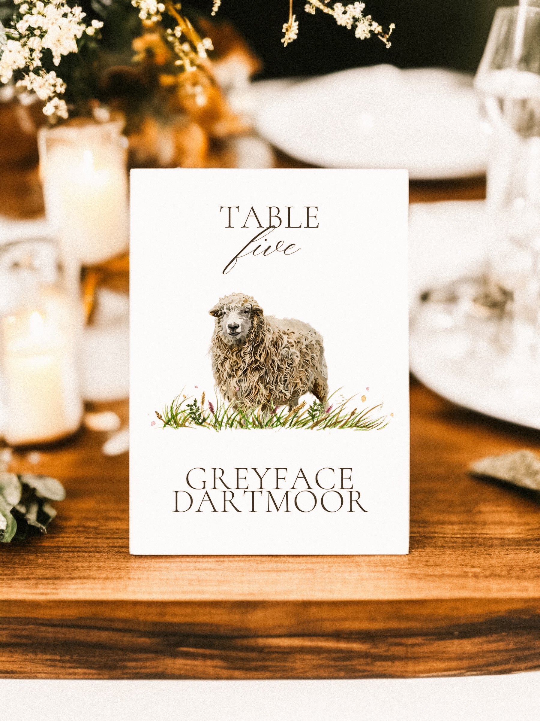 Sheep Table Names V2