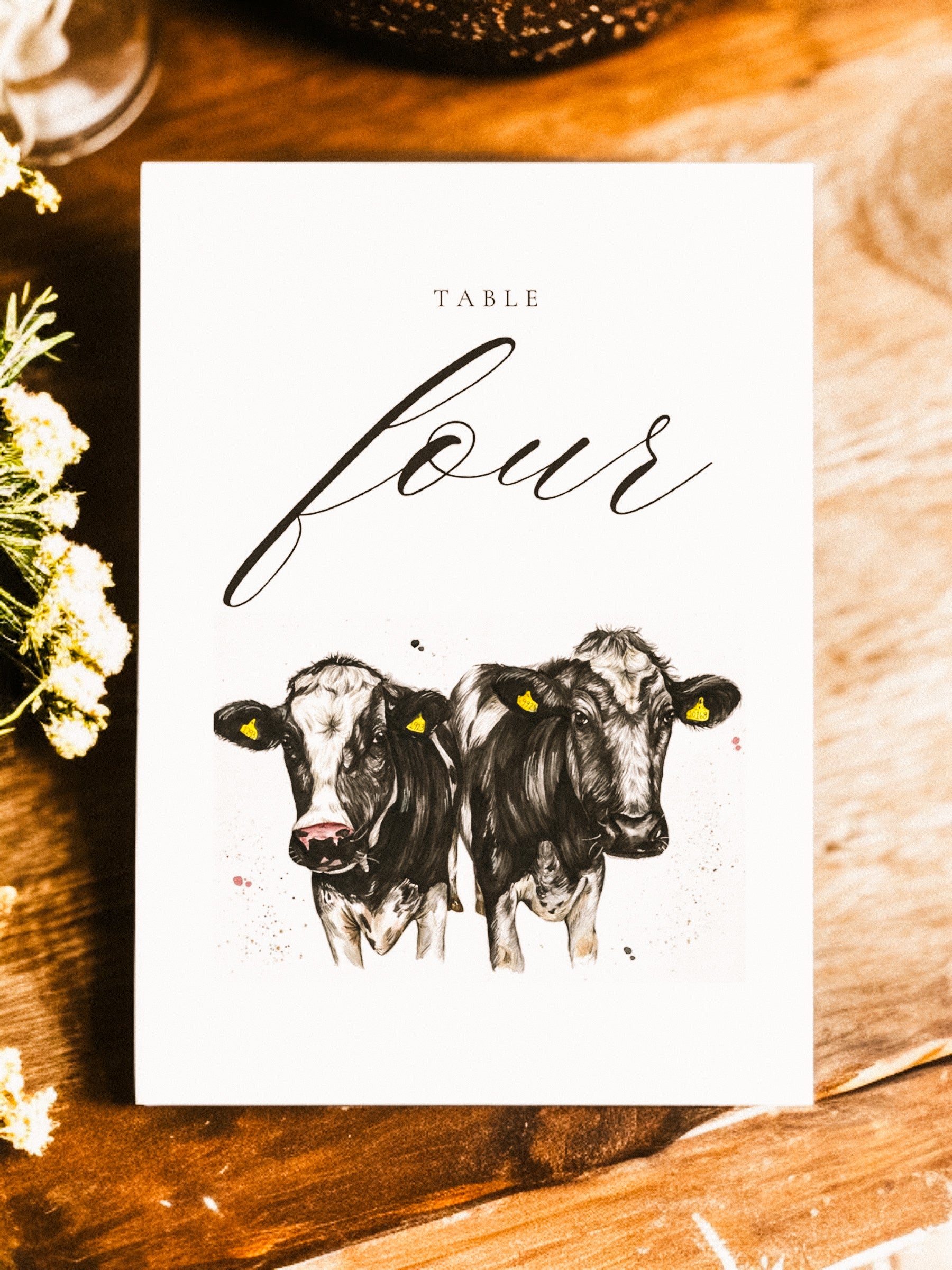 Dairy Cow Table Numbers