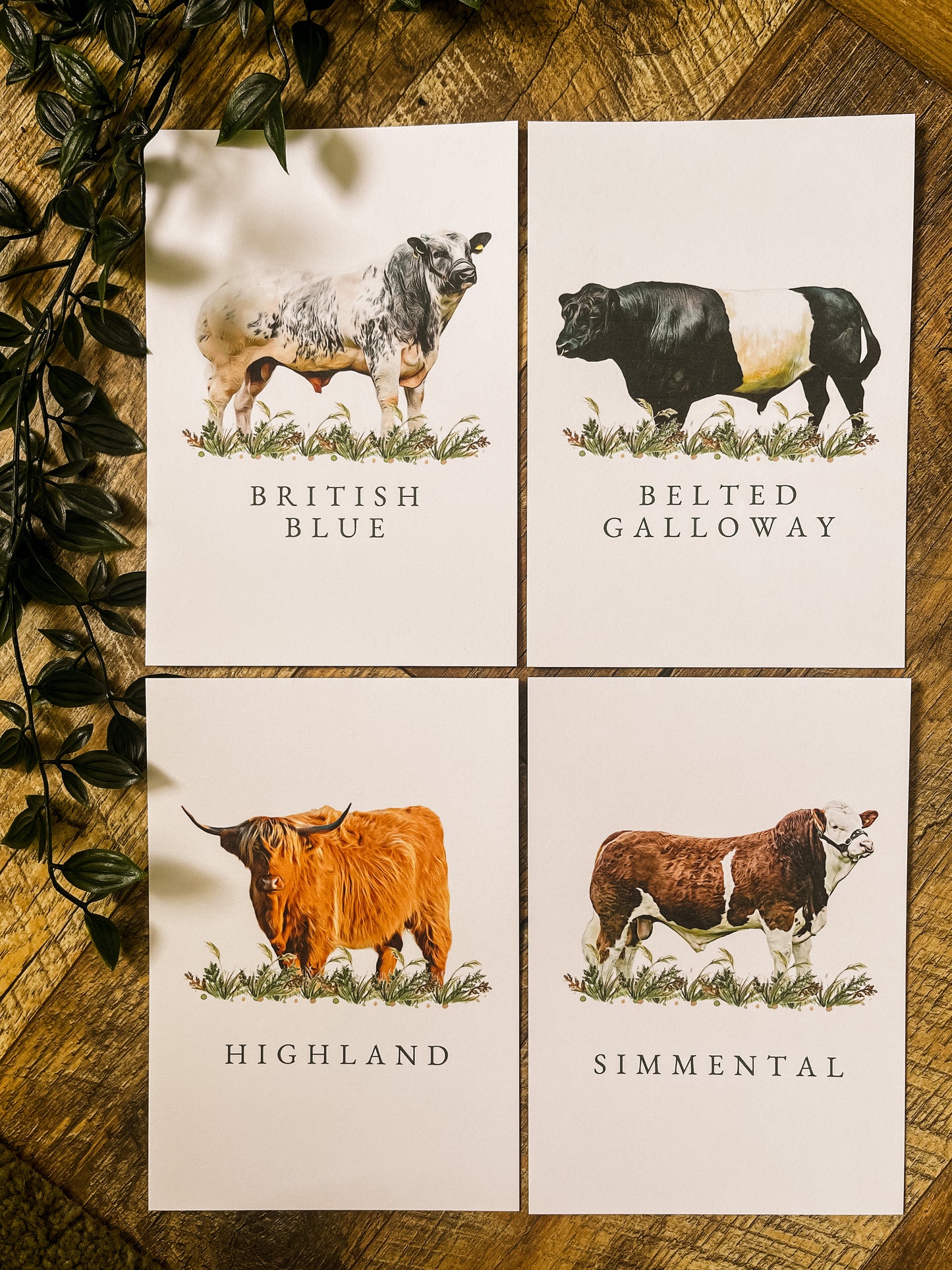 Cattle Table Names