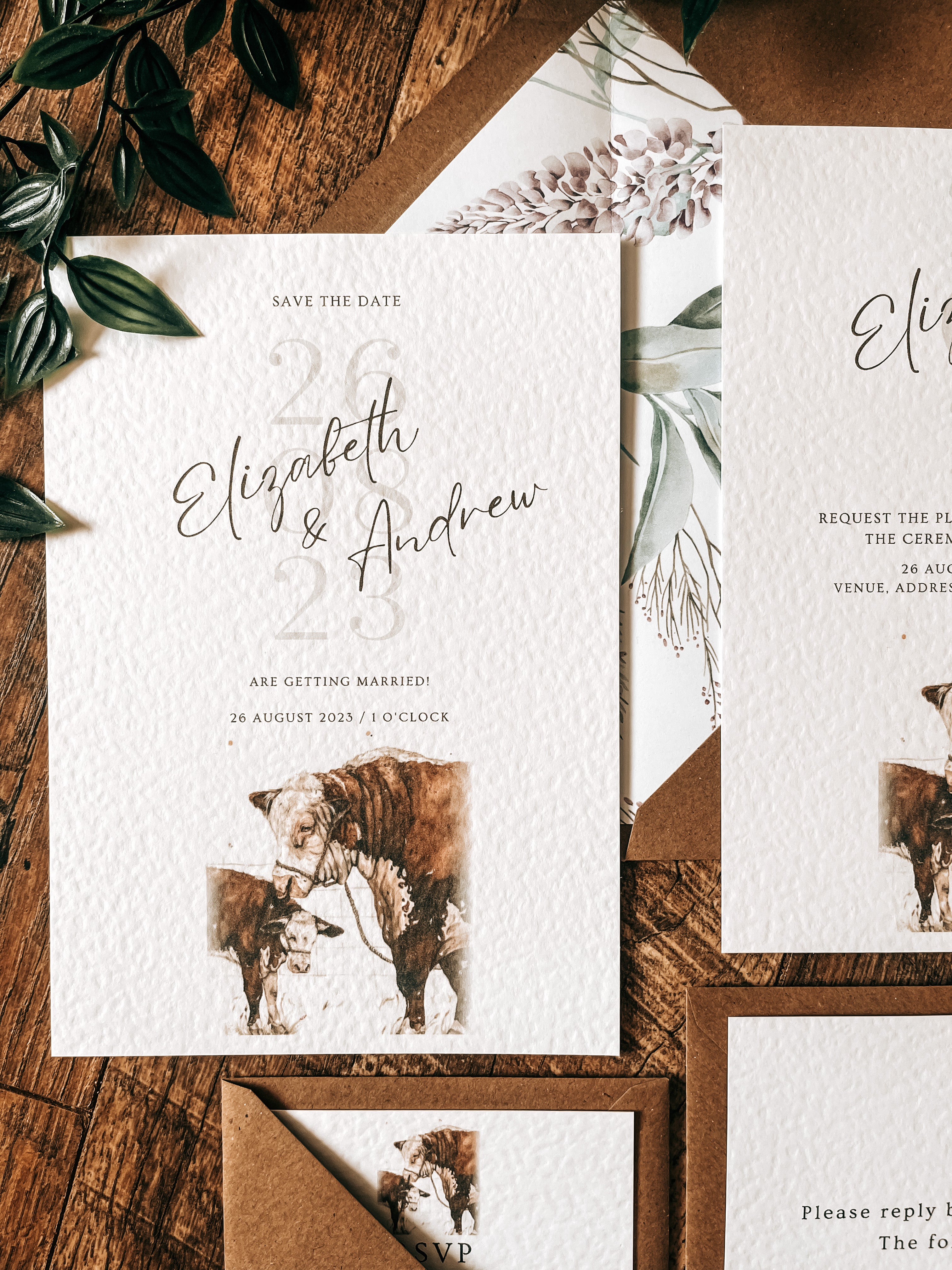 Hereford Cattle - Full Range