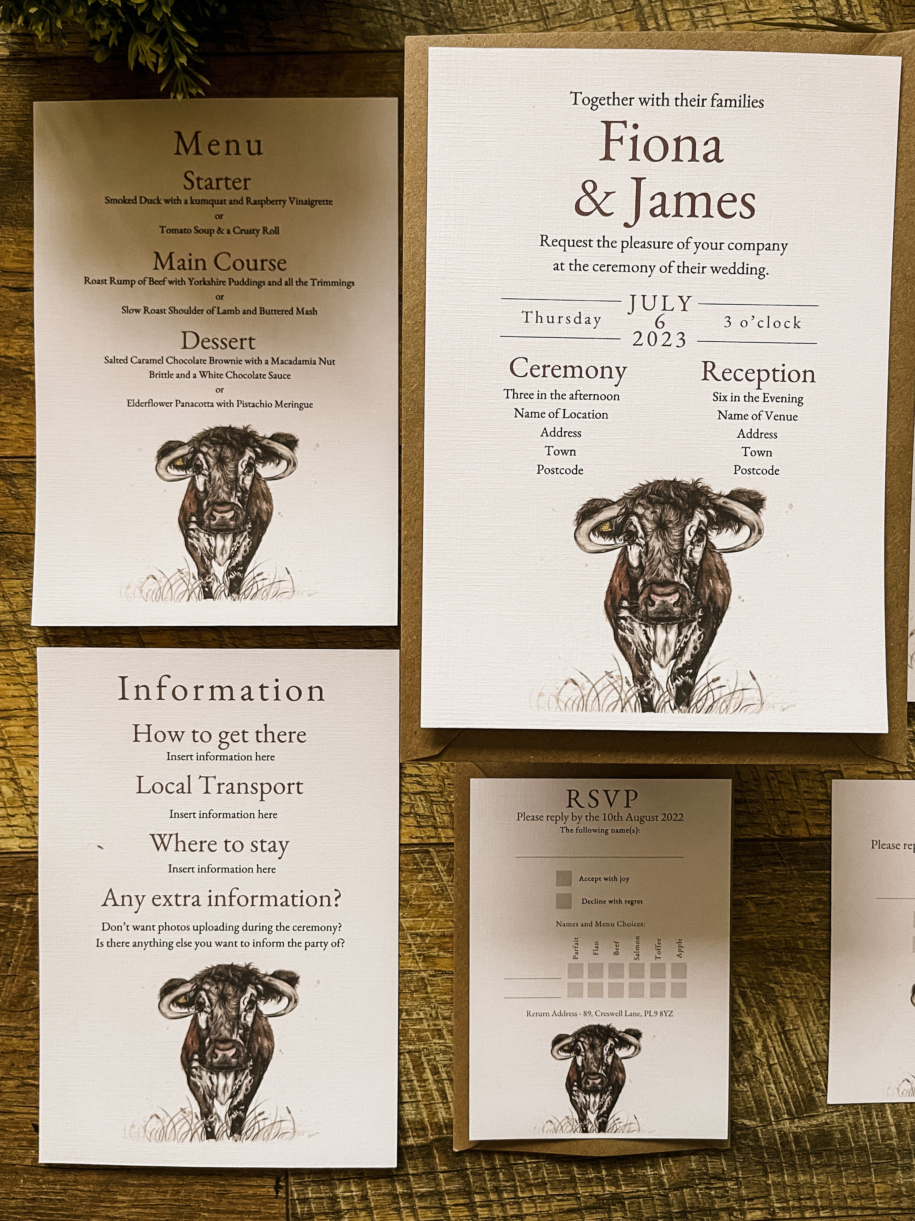 Longhorn Cow - Full Range