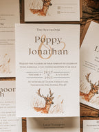 Fallow Stag - Full Range