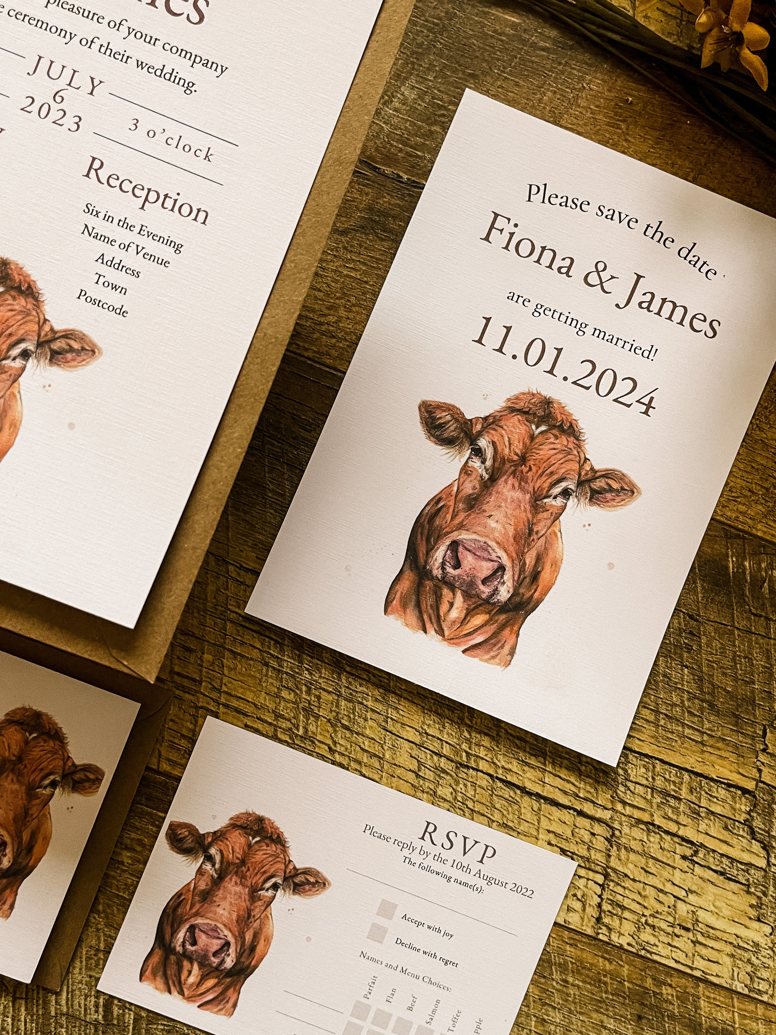 Limousin Cattle/Cow- Full Range