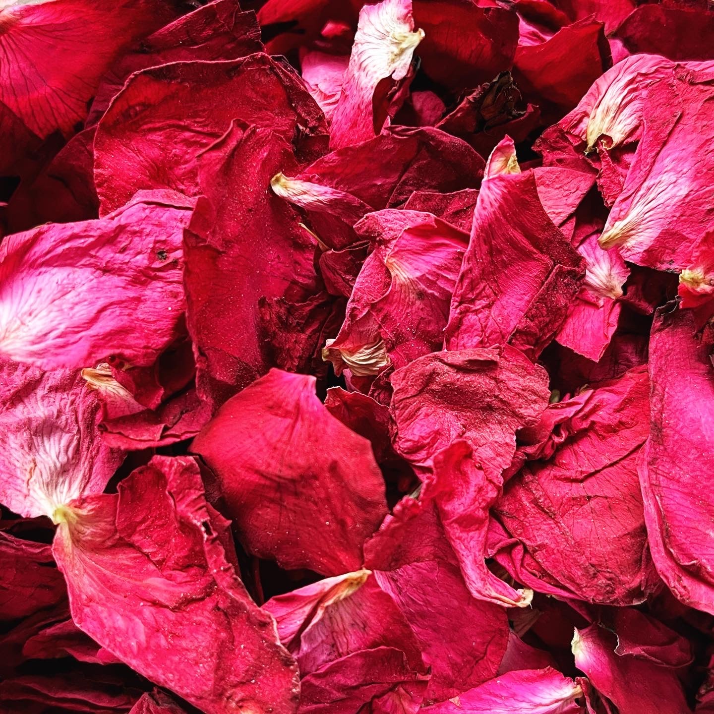 Printed Confetti Pouches - filled with dried flowers